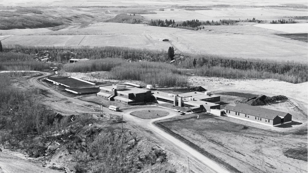 School-1971